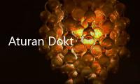 Aturan Dokter dan Insinyur yang Bekerja di Luar Negeri Dibahas dalam Revisi UU PMI