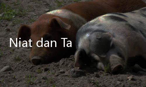 Niat dan Tata Cara Salat Witir 1 Rakaat